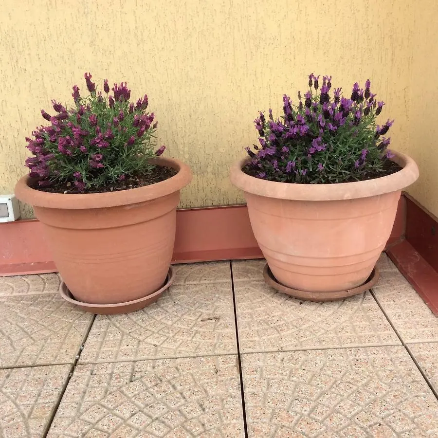 Portese La Terrazza Di Piero San Felice del Benaco Apartment